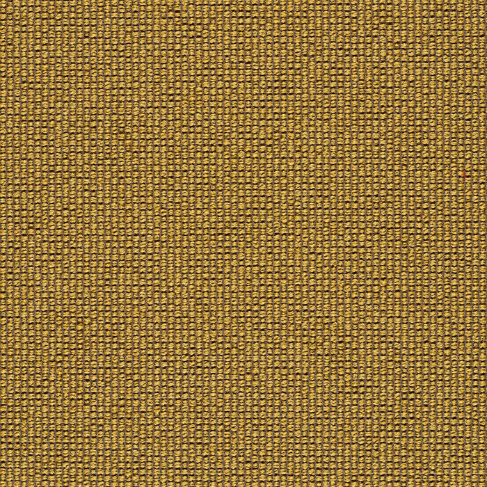 Ample - Charge - 4034 - 17 - Half Yard
