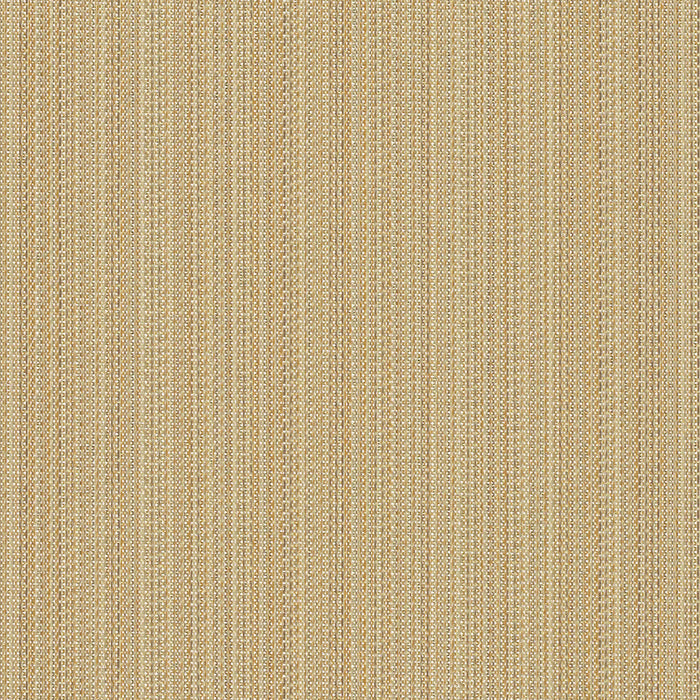Beeline - Dash - 1015 - 06