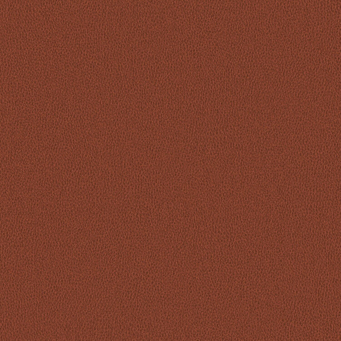 Nomad - Foxtail - 4149 - 08