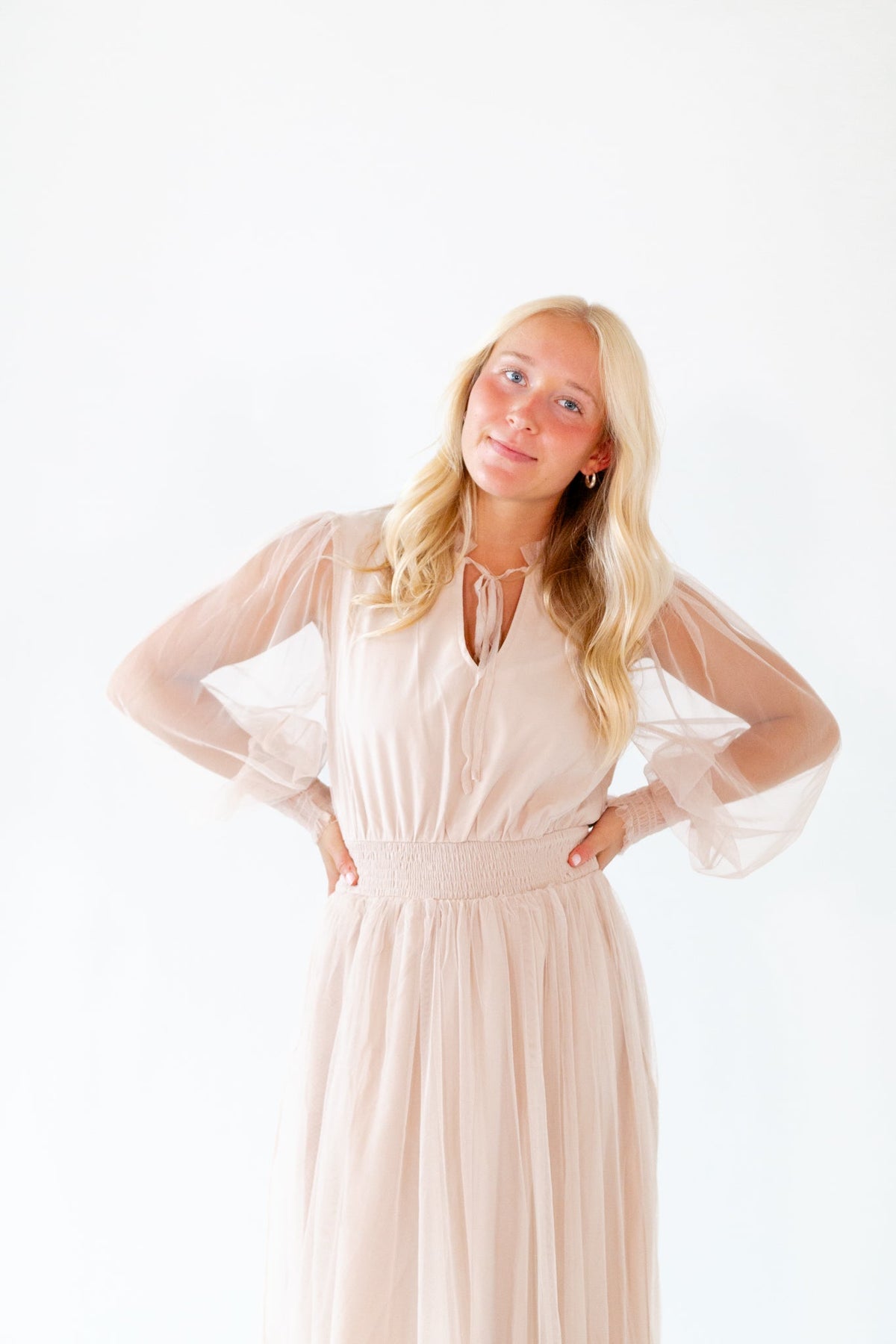 Whimsical Mesh Midi Dress