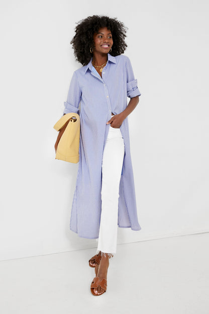 Blue Stripe Griffin Dress