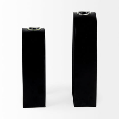 Boyer 5.1L x 3.0W x 12.0H Black Metal W/Glass Set of Two Test Tube Decorative Objects
