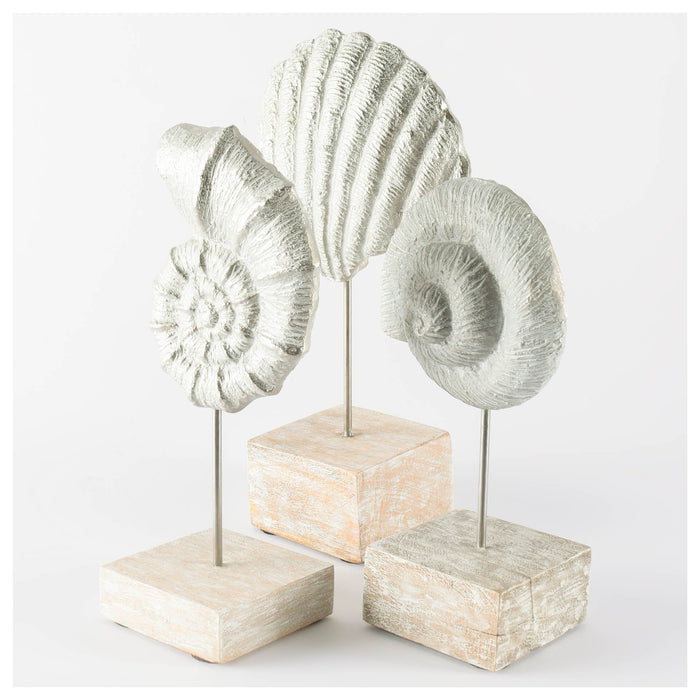 Cockle 5L x 4W White Coastal Iron Sea Shell