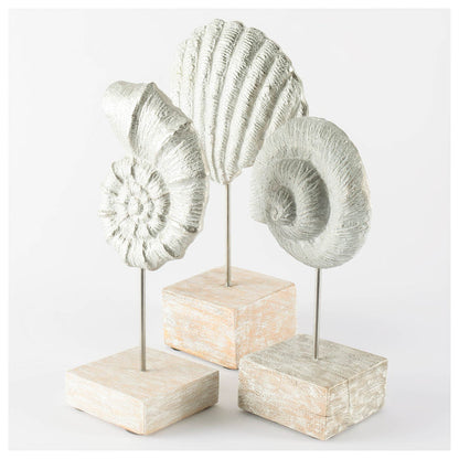 Cockle 5L x 4W White Coastal Iron Sea Shell