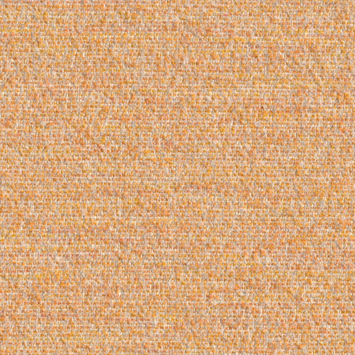 Cognition - Concentrate - 4130 - 06 - Half Yard
