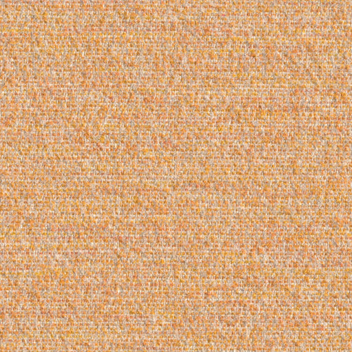 Cognition - Concentrate - 4130 - 06 - Half Yard