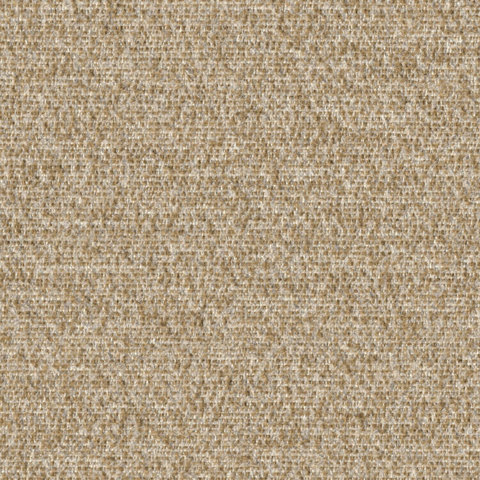 Cognition - Ruminate - 4130 - 03