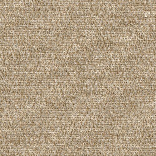 Cognition - Ruminate - 4130 - 03