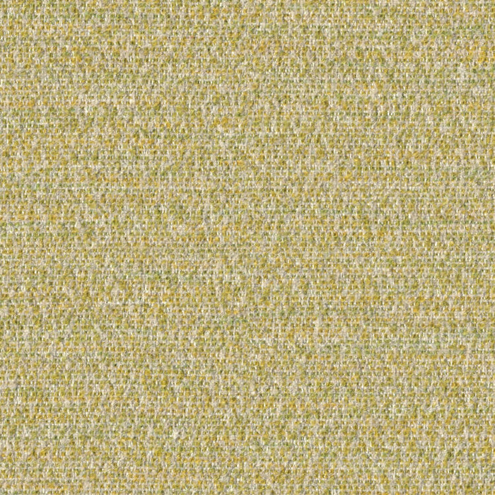 Cognition - Sapient - 4130 - 07