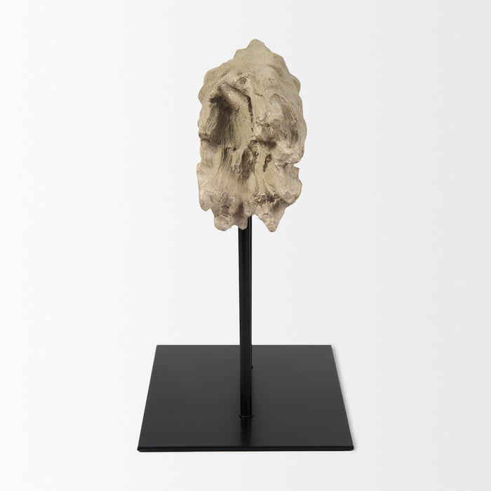 Dwell Cholla Wood Resin Decorative Object