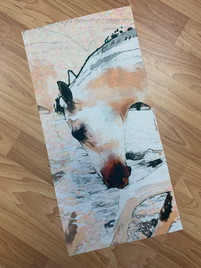 Facemask Sleeve