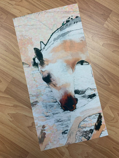 Facemask Sleeve