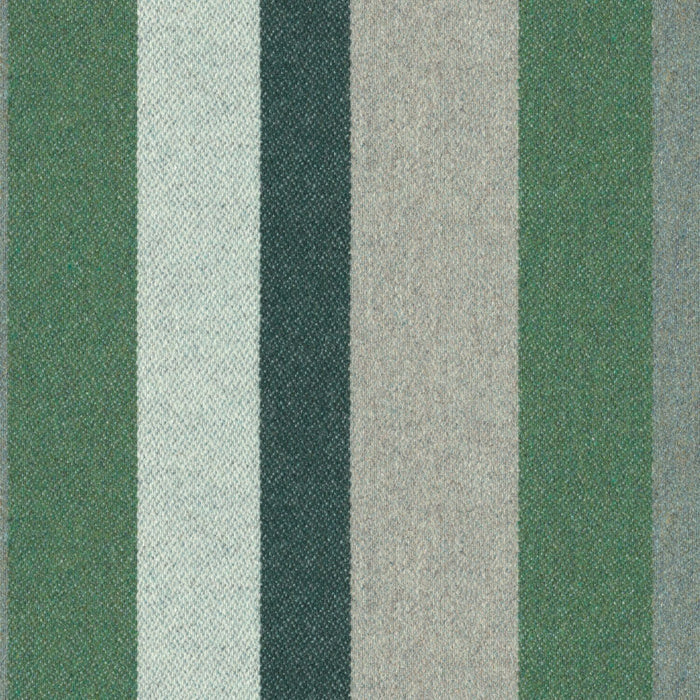 Forward Motion - Forest Path - 2009 - 06