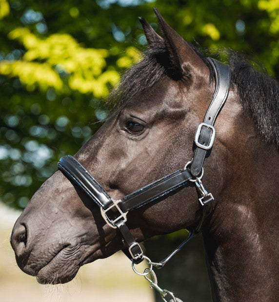 Glitty Halter - Black