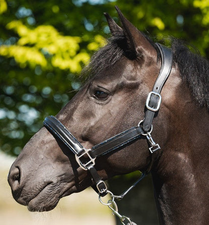 Glitty Halter - Black