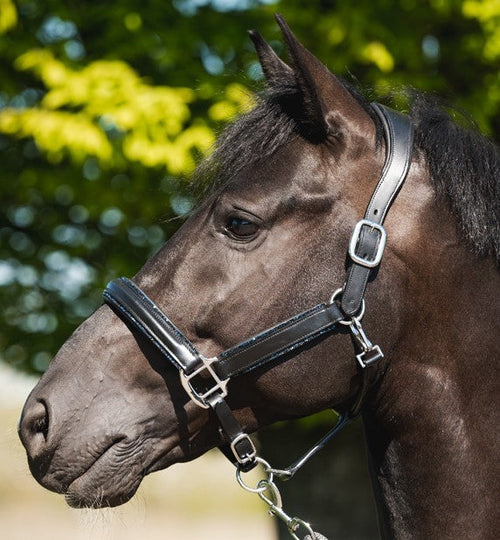 Glitty Halter - Black