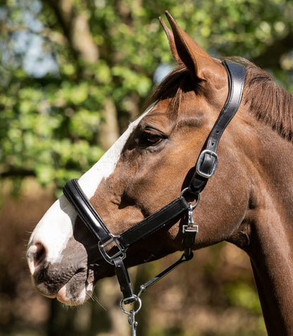 Glitty Halter - Black