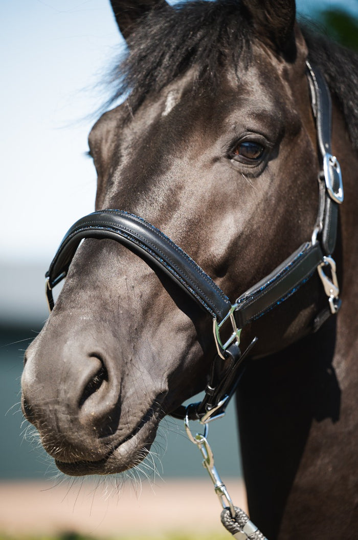 Glitty Halter - Black