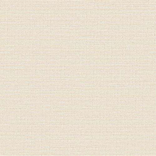 Impasto - Eggshell - 7021 - 05 - Half Yard