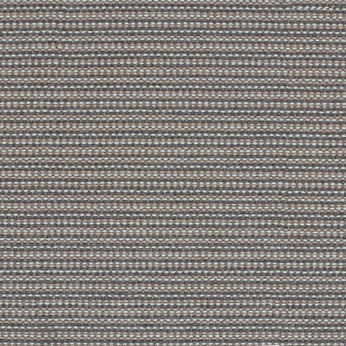 Megapixel - Barnacle - 4097 - 12