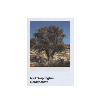 Nick Waplington