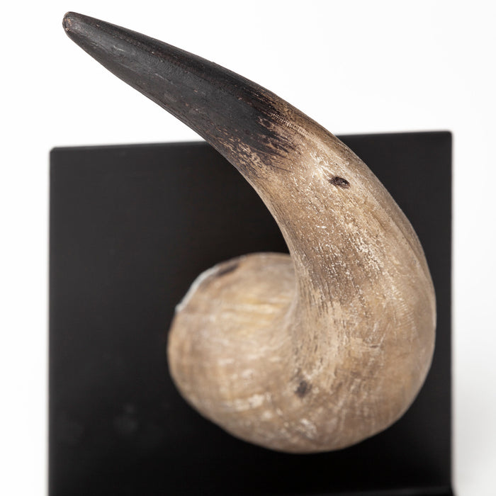 Nickerson (Set of 2) 6L x 7W Bull Horn Bookends