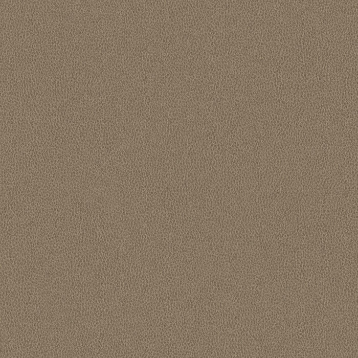 Nomad - Barn Owl - 4149 - 03 - Half Yard