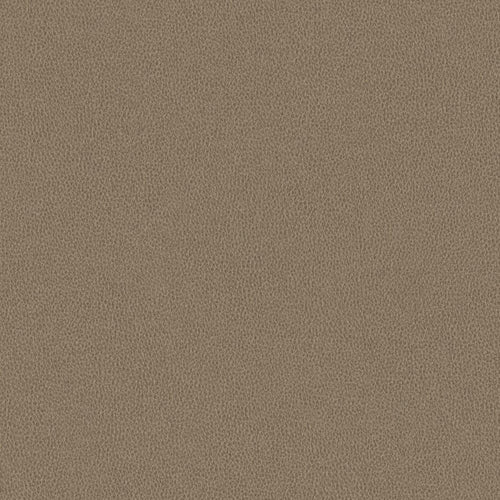 Nomad - Barn Owl - 4149 - 03 - Half Yard