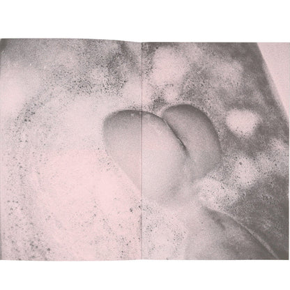 Oliver Zahm: Amanda