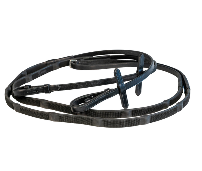 Raven Reins