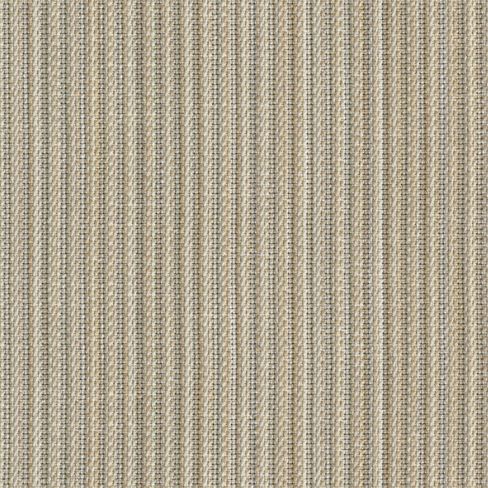 Reed Tones - Papyrus - 4151 - 01
