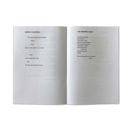 Rene Ricard