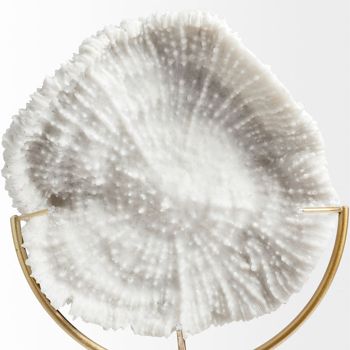 Sandy I (Small) 6L x 3W White Coastal Sand Dollar Object
