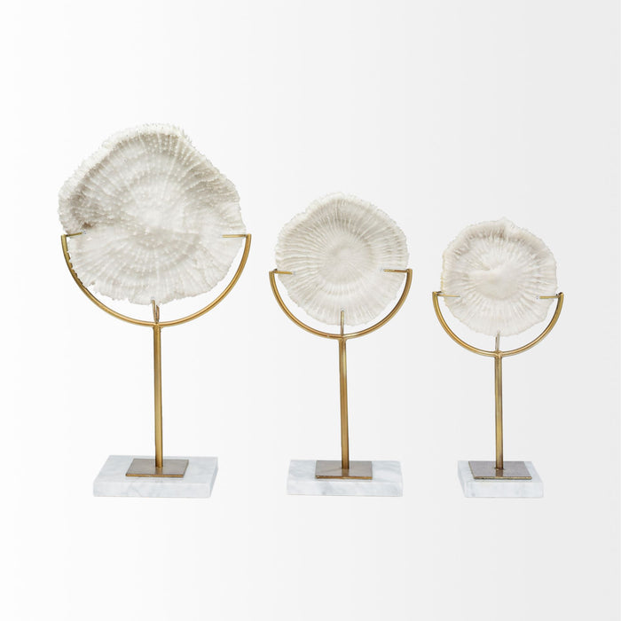 Sandy I (Small) 6L x 3W White Coastal Sand Dollar Object