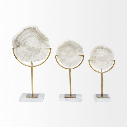 Sandy I (Small) 6L x 3W White Coastal Sand Dollar Object