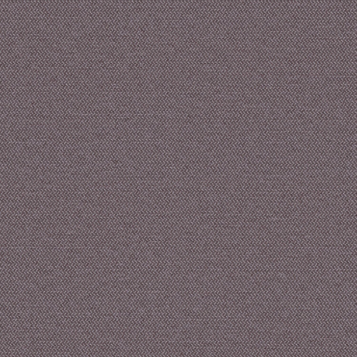 Simplicity - Lavender - 2008 - 19