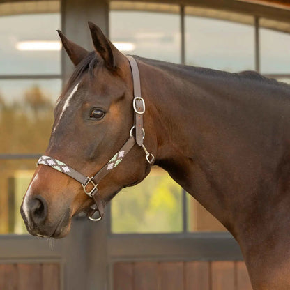 Siri Polo Halter