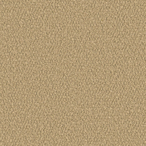 Super Shearling - Petitgrain - 4119 - 06