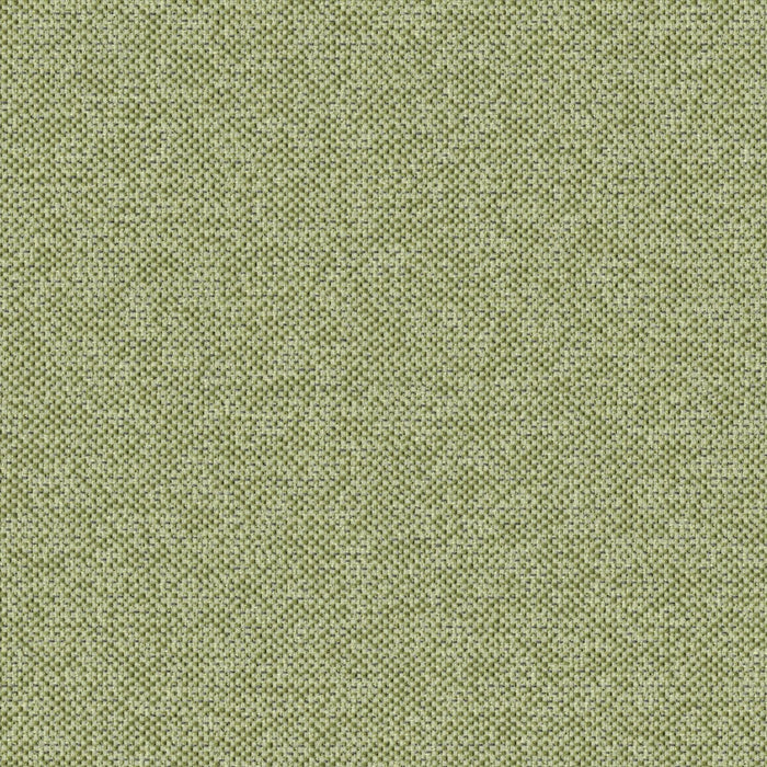 Texture Map - Miocene - 2004 - 11 - Half Yard