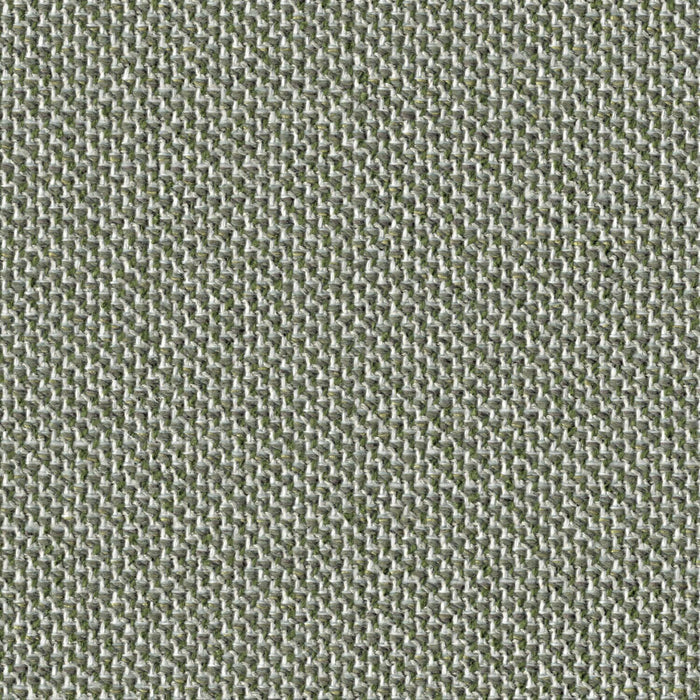 Trichroma - Cultivate - 4127 - 10