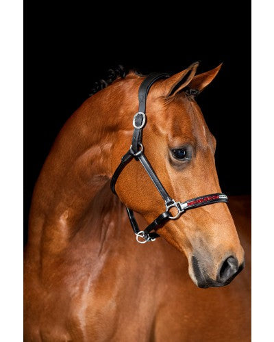 USA Anatomic Halter